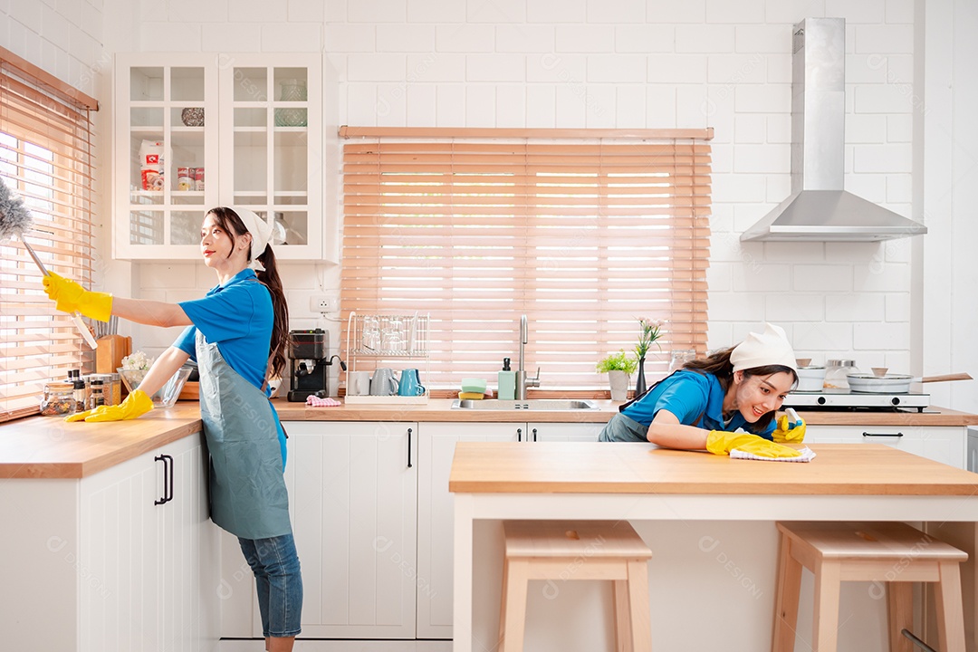 Trabalho doméstico ou serviço de limpeza doméstica