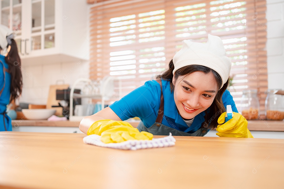 Trabalho doméstico ou serviço de limpeza doméstica