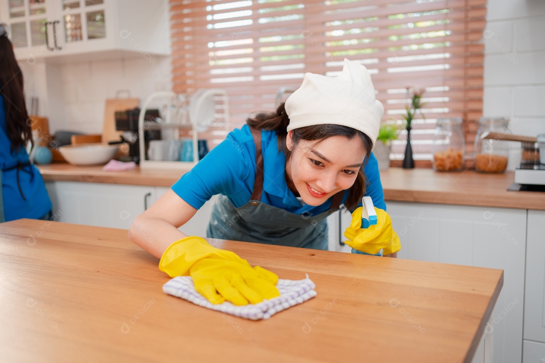 Trabalho doméstico ou serviço de limpeza doméstica