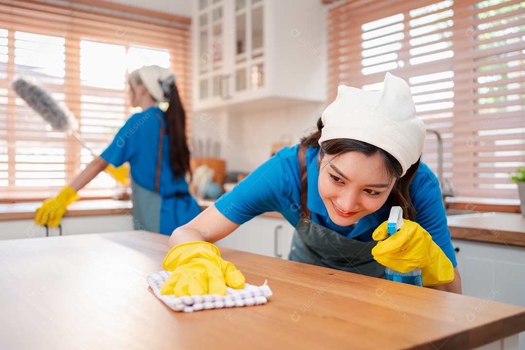 Trabalho doméstico ou serviço de limpeza doméstica