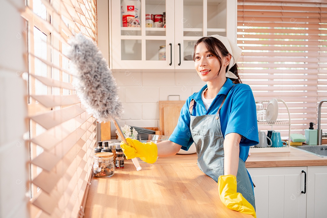 Trabalho doméstico ou serviço de limpeza doméstica