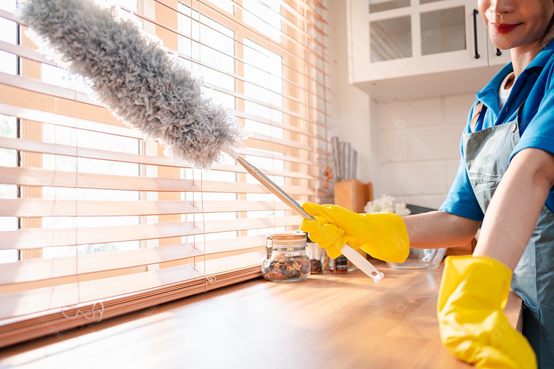 Trabalho doméstico ou serviço de limpeza doméstica