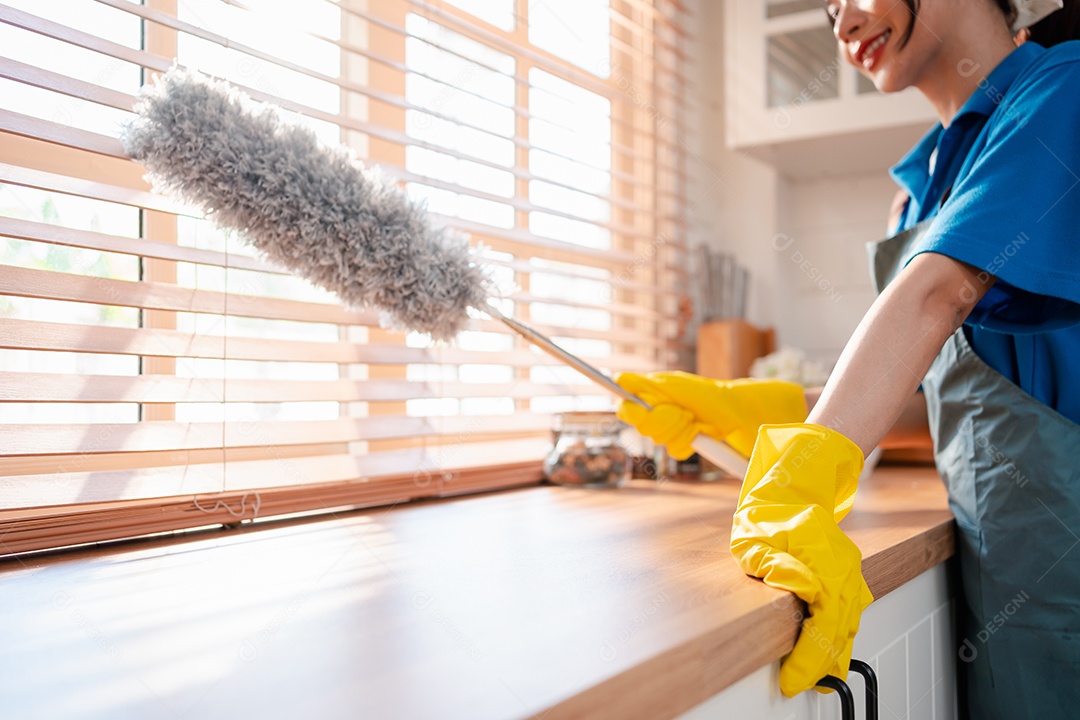 Trabalho doméstico ou serviço de limpeza doméstica