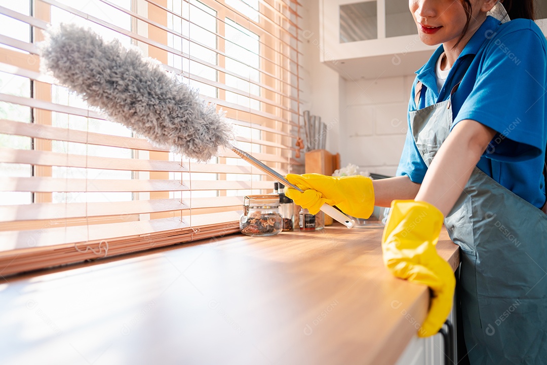 Trabalho doméstico ou serviço de limpeza doméstica