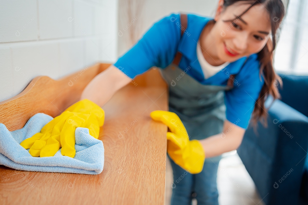 Trabalho doméstico ou serviço de limpeza doméstica
