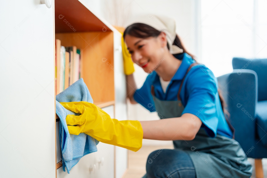 Trabalho doméstico ou serviço de limpeza doméstica