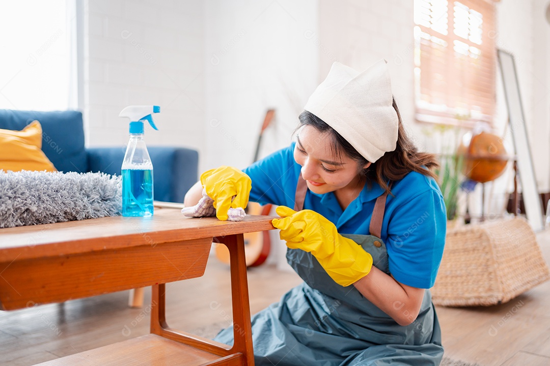 Trabalho doméstico ou serviço de limpeza doméstica