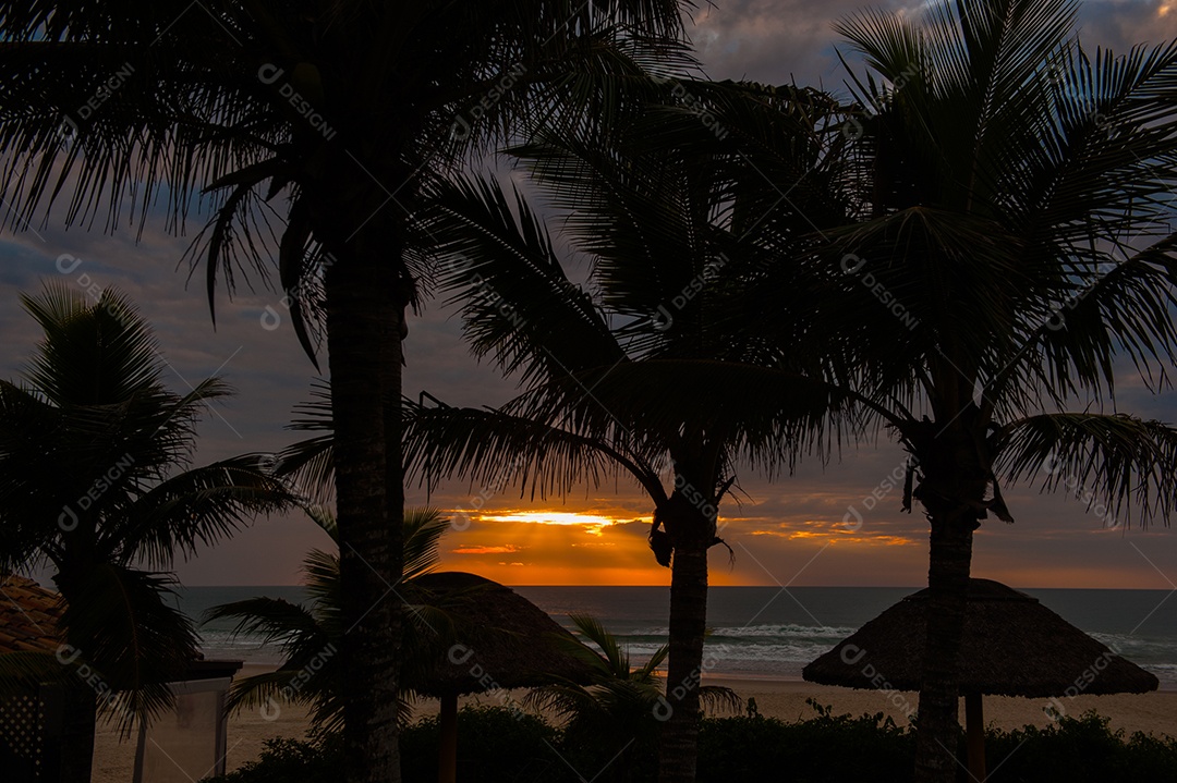 Linda praia tropical com coqueiros