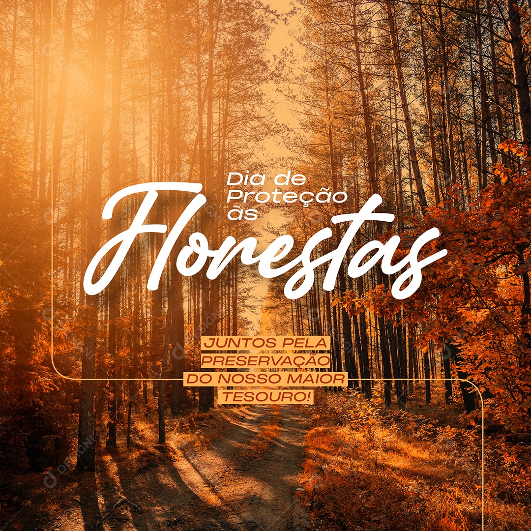 Dia de proteção Florestas Social Media PSD Editável