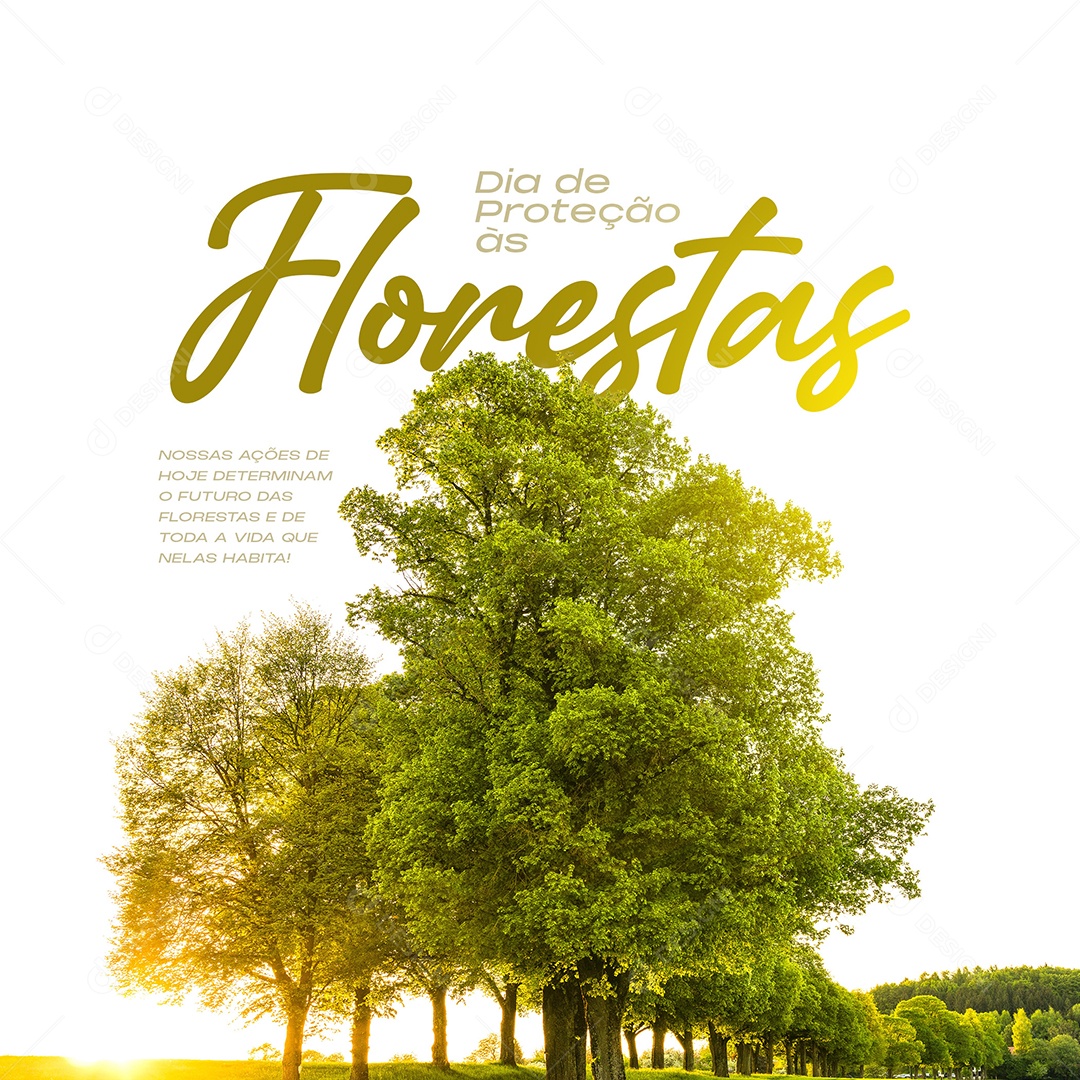 Dia de Proteção Florestas Social Media PSD Editável
