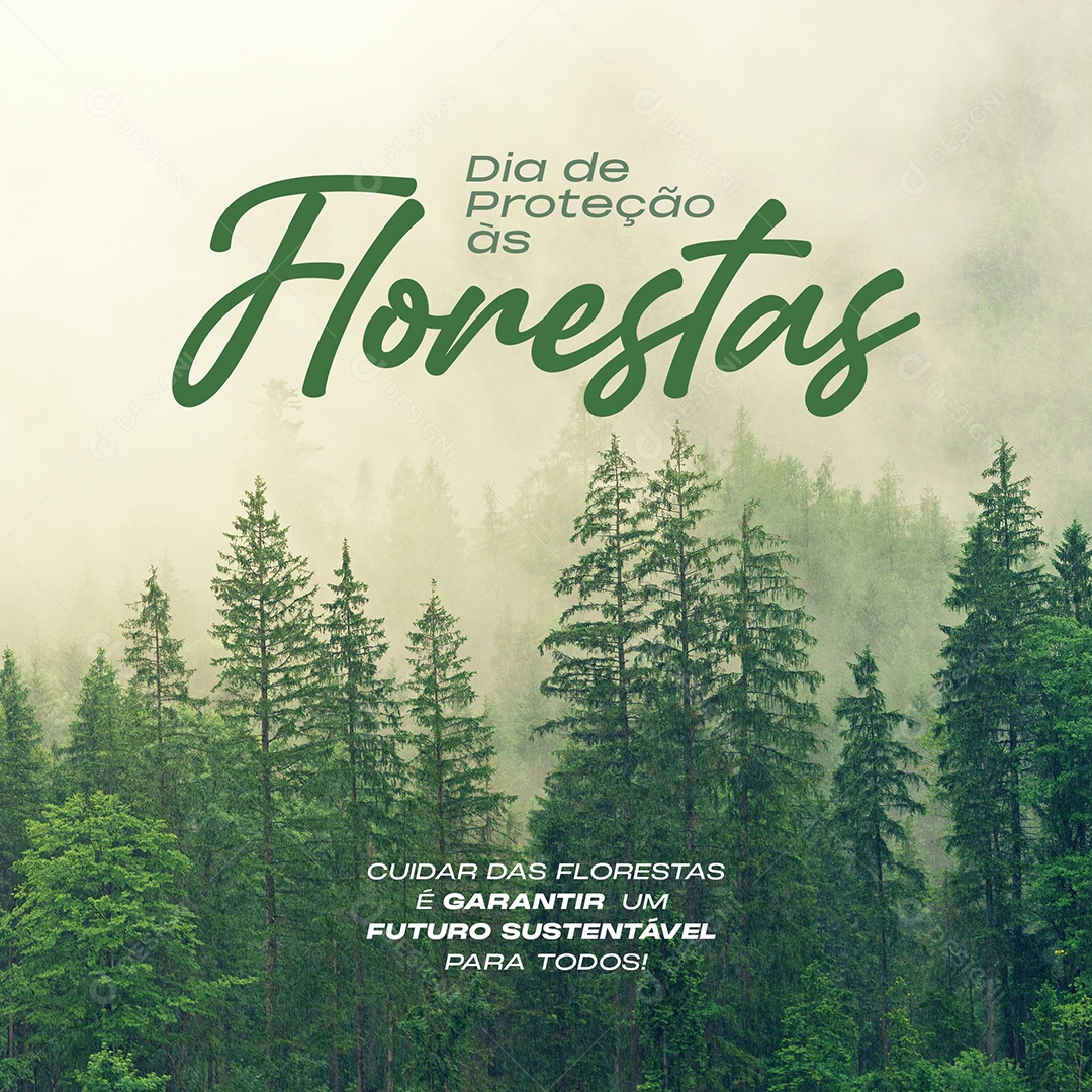 Dia de Proteção Florestas  Social Media PSD Editável