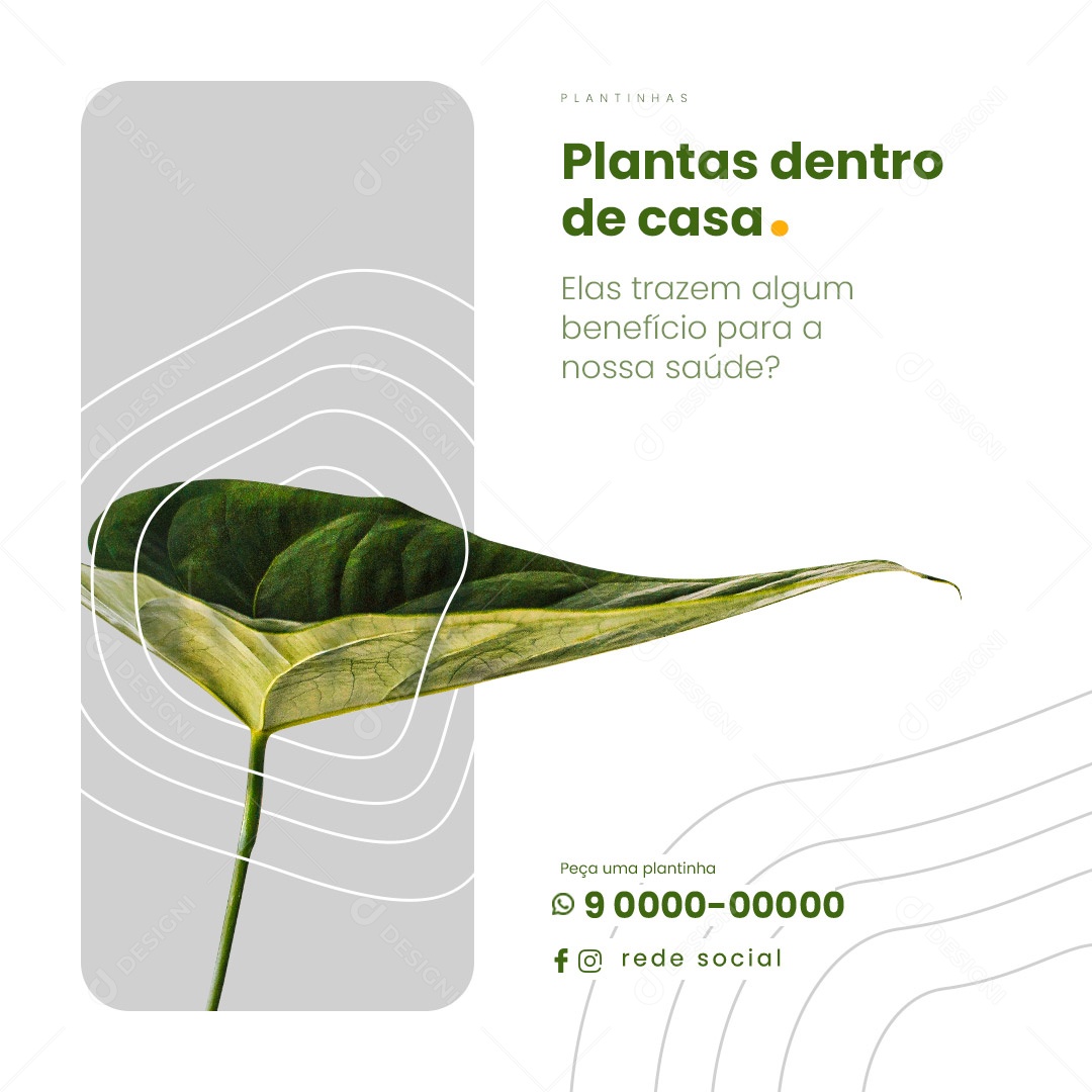 Plantas Dentro De Casa Jardinagem Social Media PSD Editável