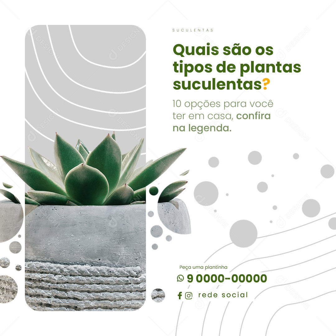 Quais São Os Tipos De Plantas Suculentas Jardinagem Social Media PSD Editável