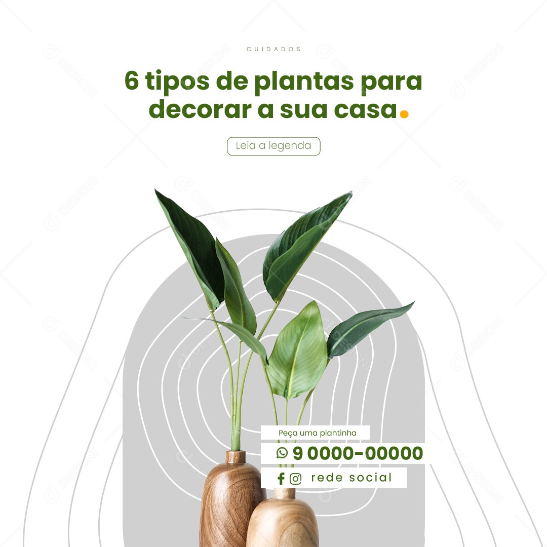 Social Media 6 Tipos De Plantas Para Decorar A Sua Casa Jardinagem Social Media PSD Editável