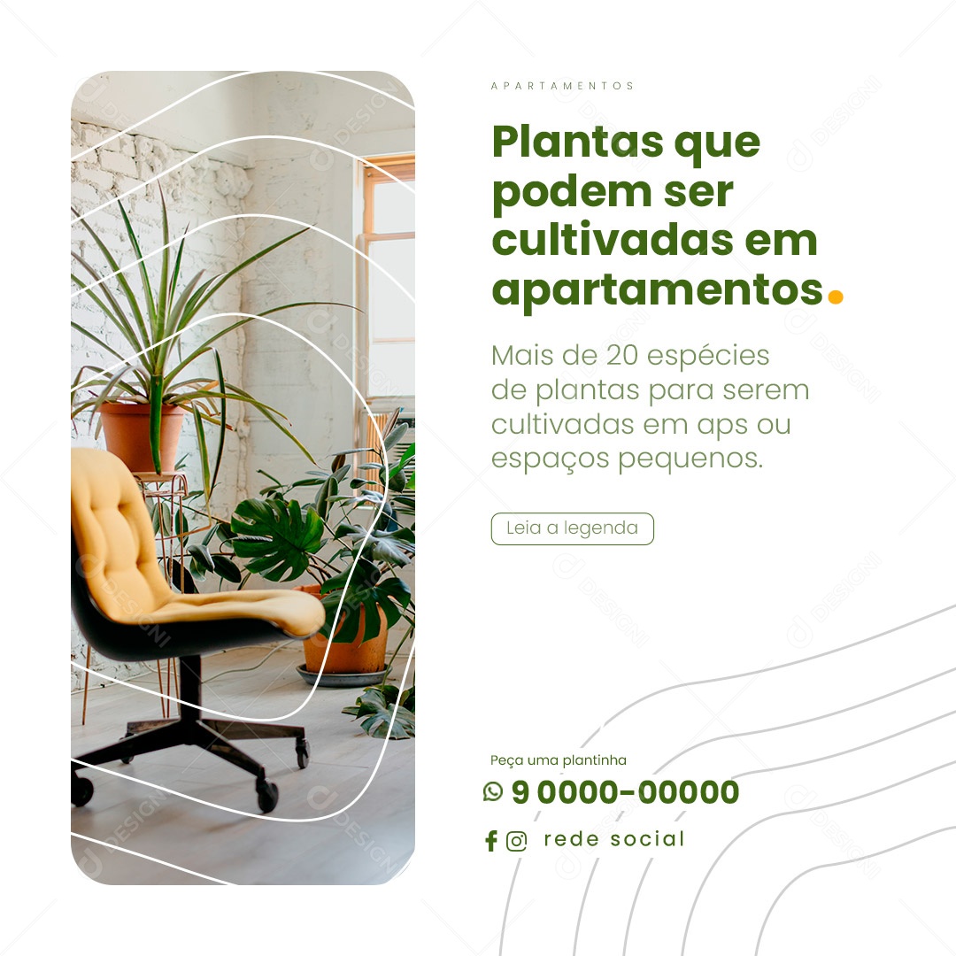 Plantas Que Podem Ser Cultivadas Em Apartamentos Social Media PSD Editável
