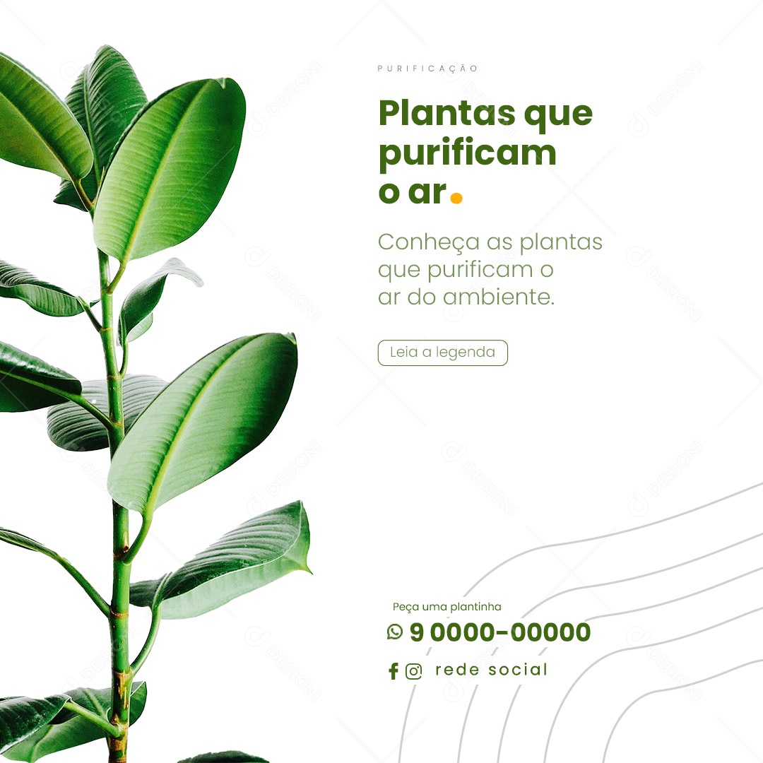 Plantas Que Purificam O Ar Jardinagem Social Media PSD Editável