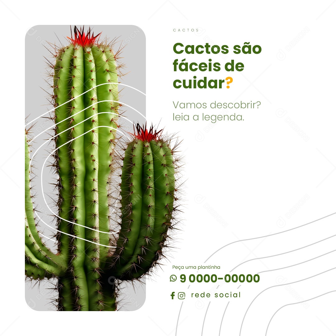 Cactos São Fáceis De Cuidar Jardinagem Social Media PSD Editável