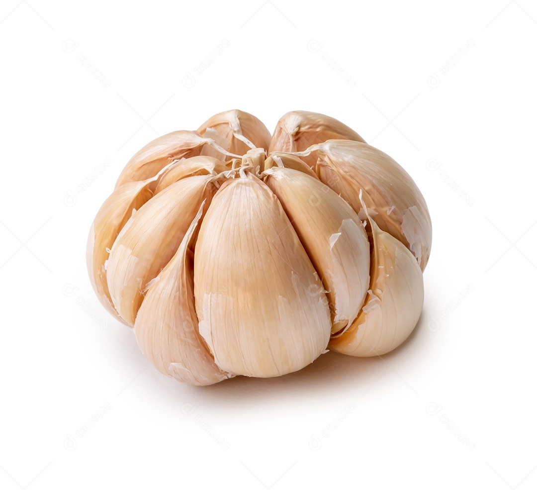 O único bulbo de alho branco fresco é isolado no fundo branco com traçado