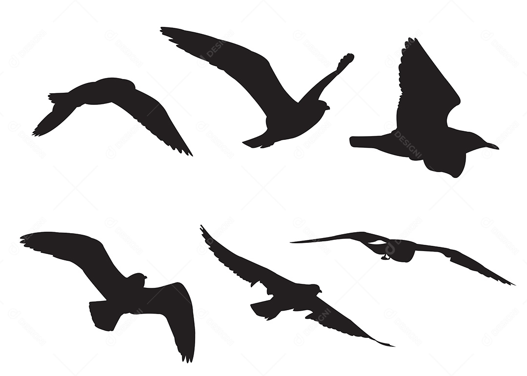 Conjunto De Silhueta De Pássaros Ilustração Vetor EPS