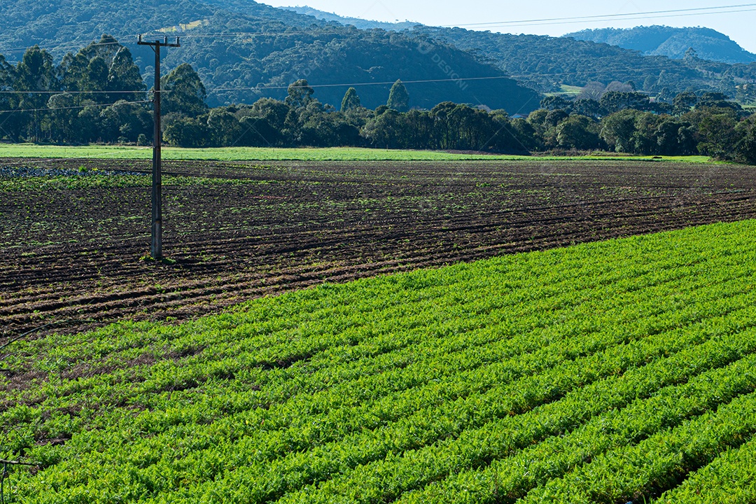 Vista do campo de agricultura