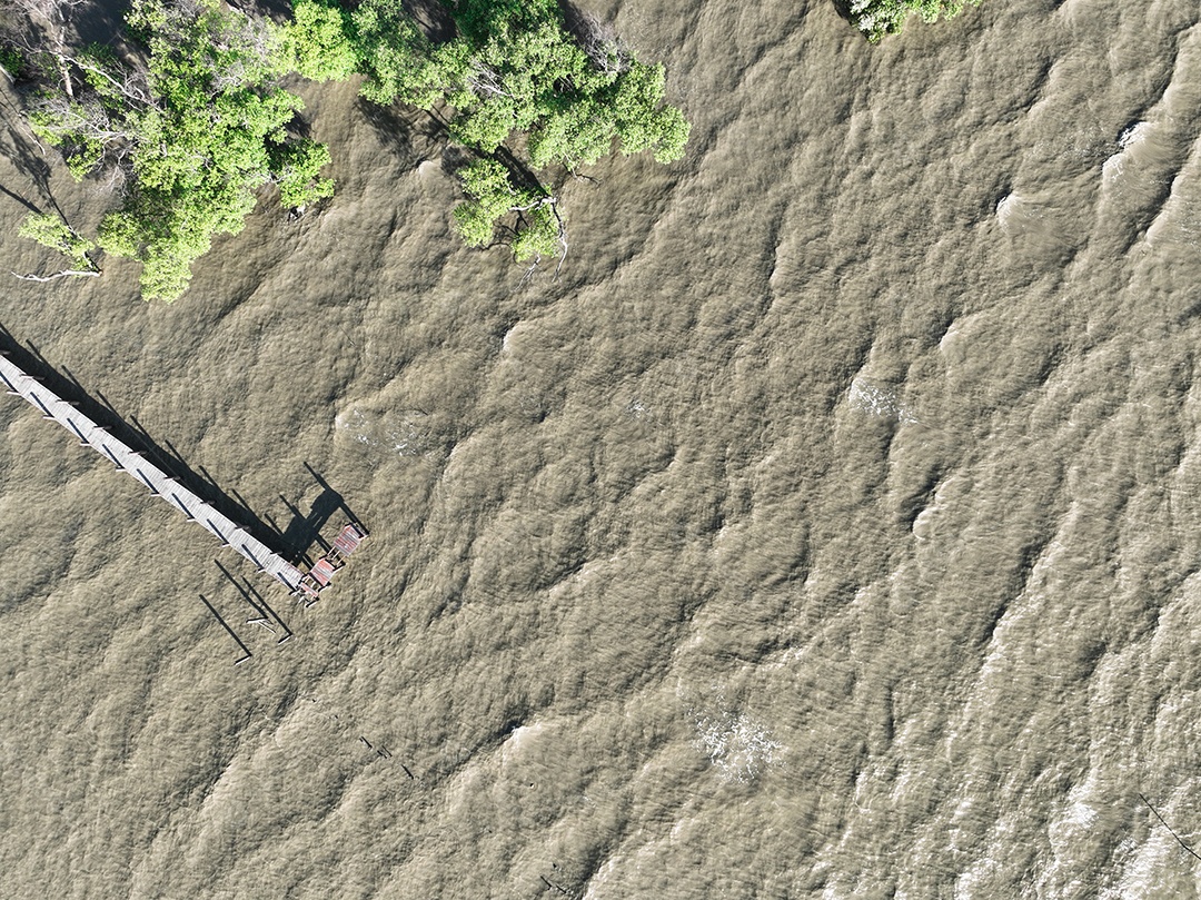 Vista aérea de árvores de mangue verde, ponte de madeira e água do mar