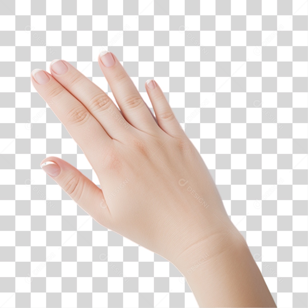 Mão com Unhas Pintadas PNG Transparente