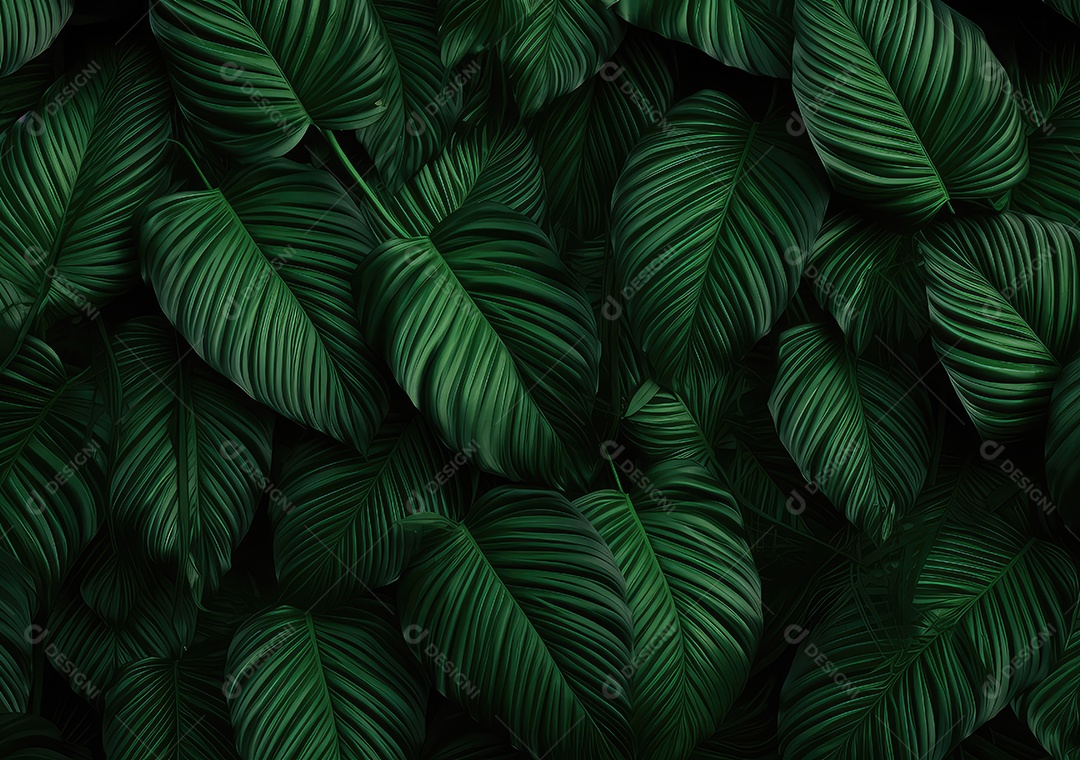 Fundo de folhas verdes. O verde deixa o tom da cor escuro pela manhã.