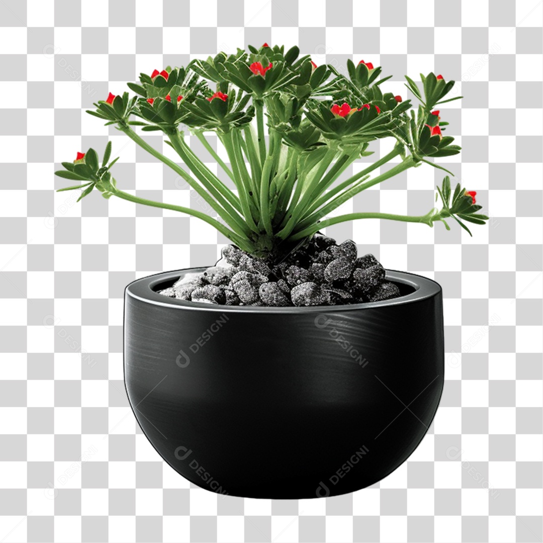 Vasos com Plantas PNG Transparente