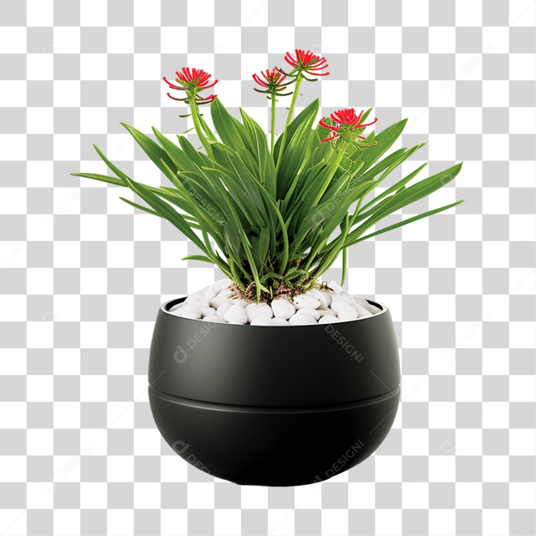 Vazo com Plantas PNG Transparente