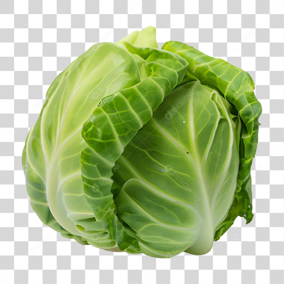 Repolho Verdura PNG Transparente
