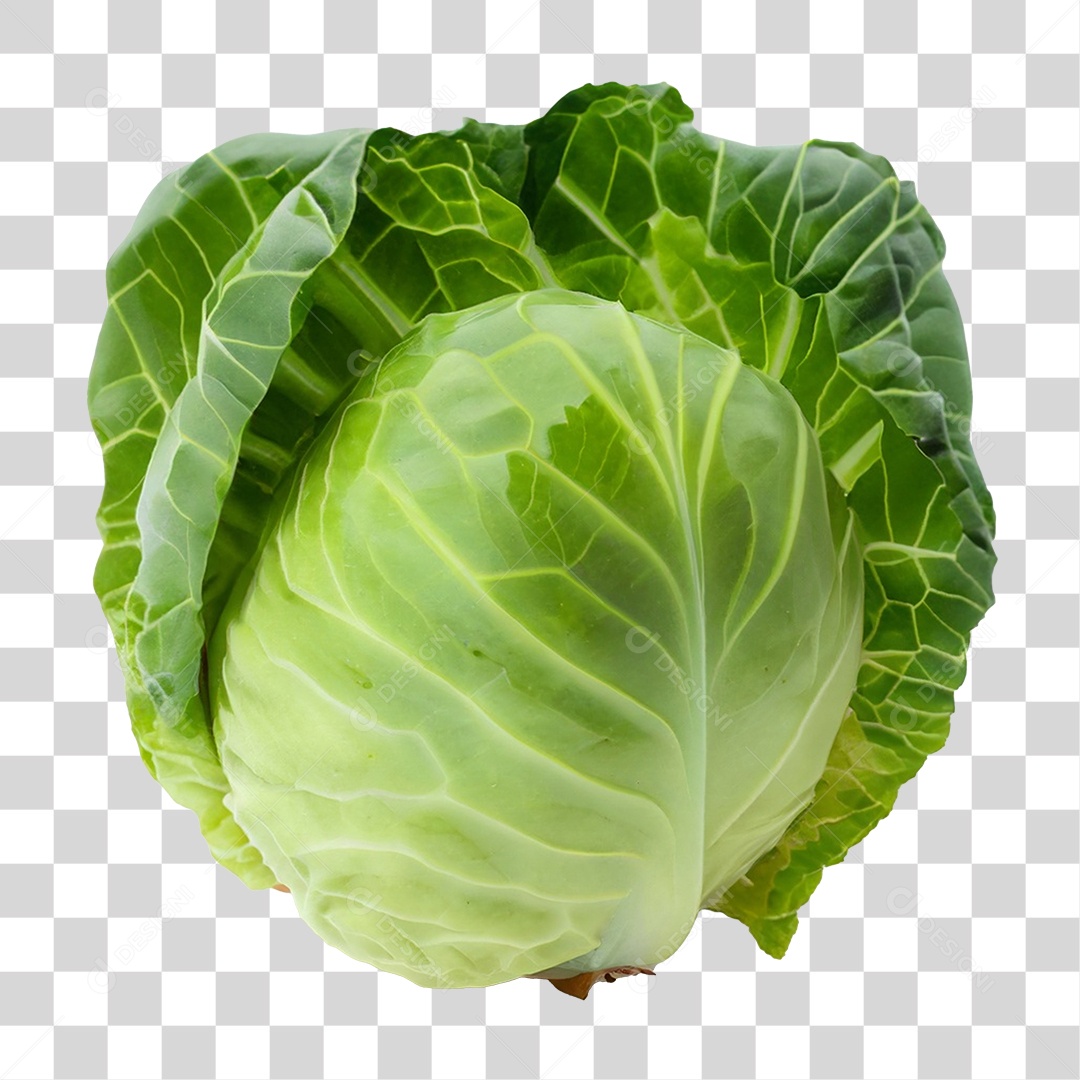 Repolho Verdura PNG Transparente