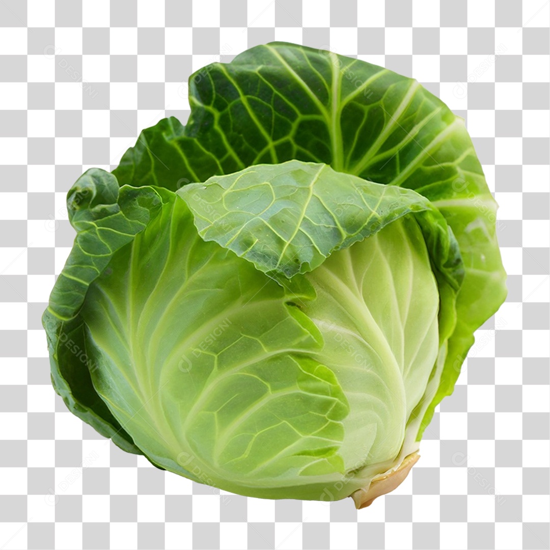 Repolho Verdura PNG Transparente