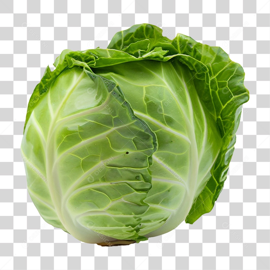 Repolho Verdura PNG Transparente