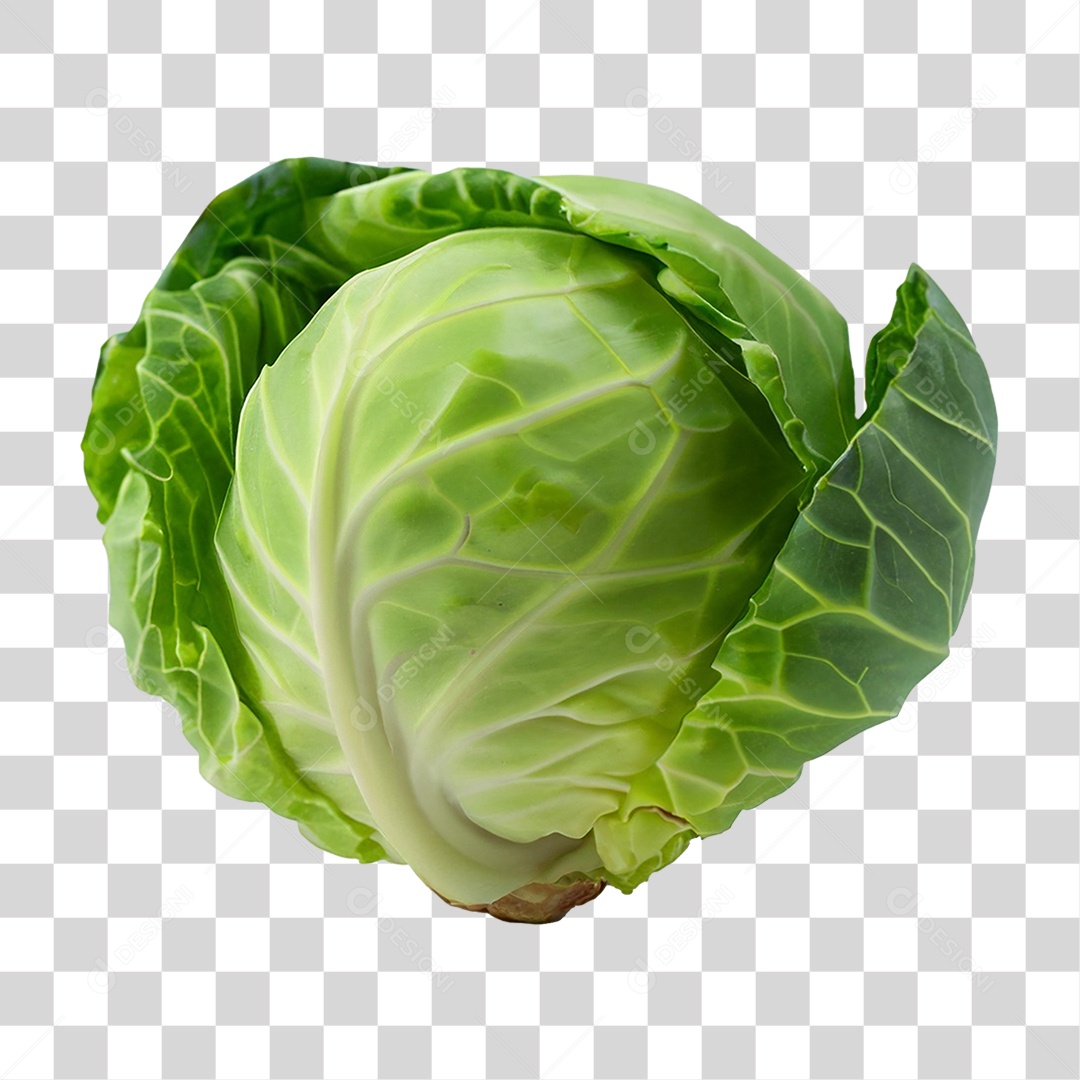 Repolho Verdura PNG Transparente