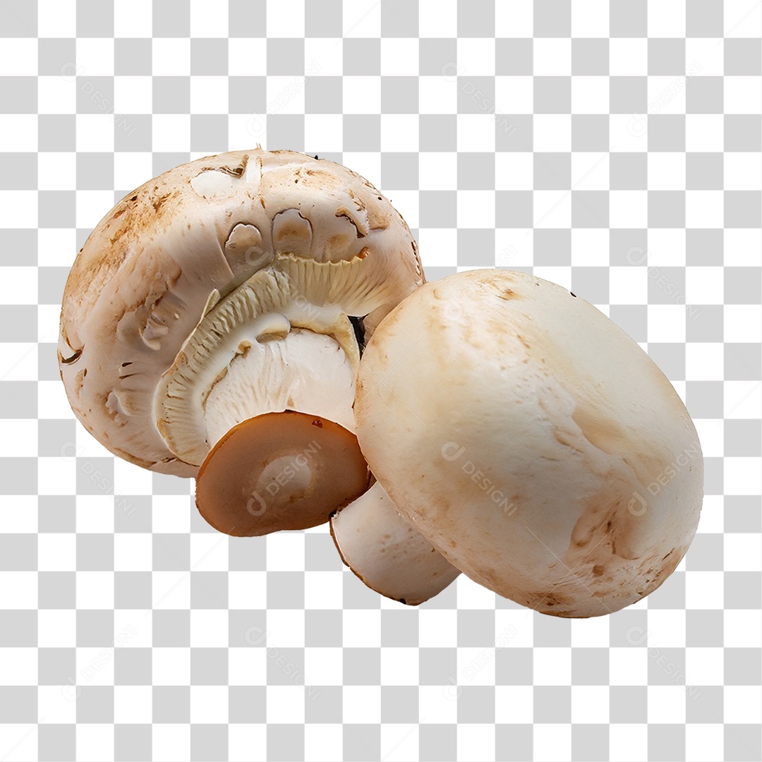 Cogumelos Brancos PNG Transparente