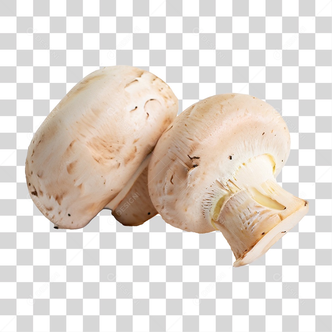 Cogumelos Brancos PNG Transparente