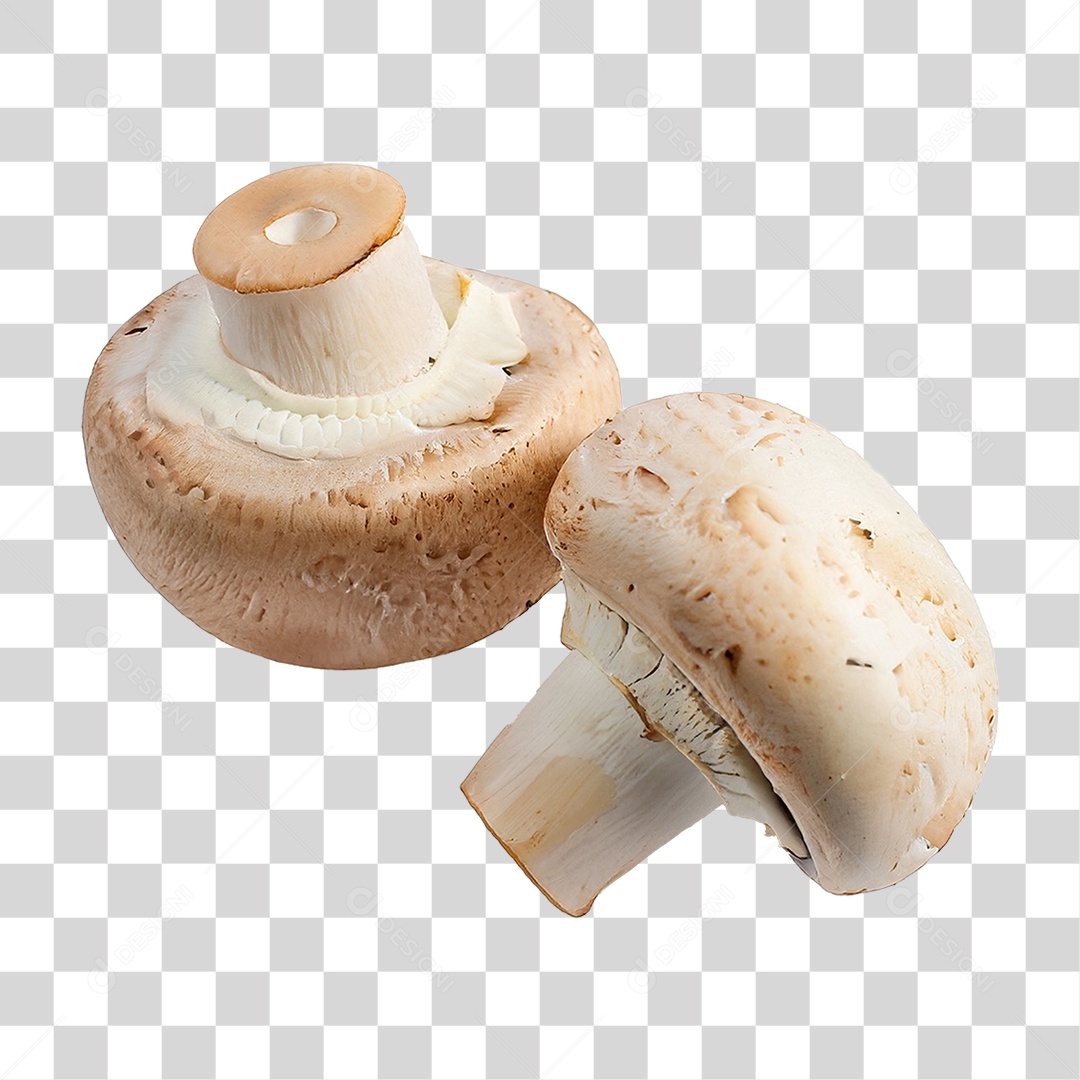Cogumelos Brancos PNG Transparente
