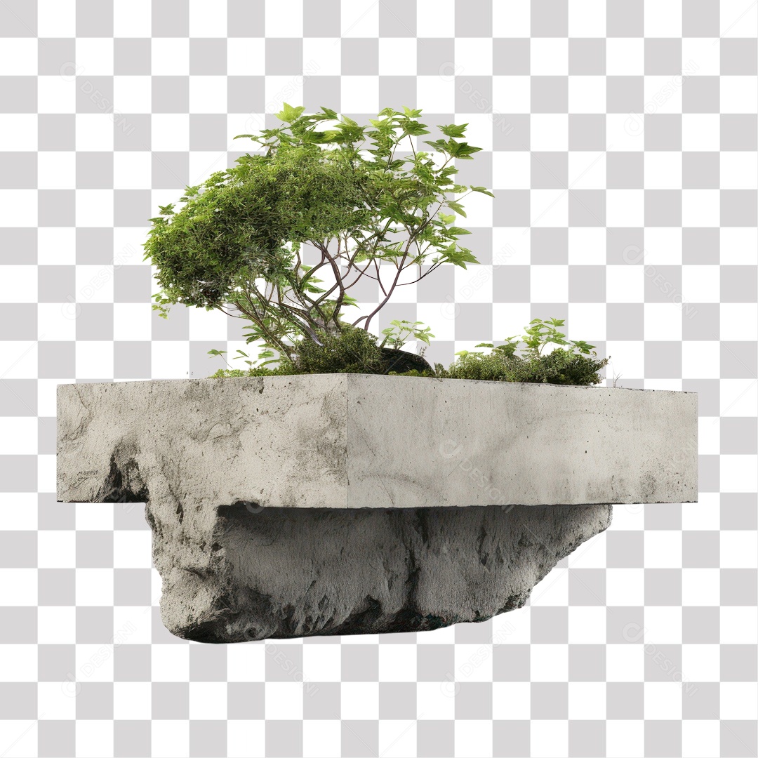 Planta Bonsai em Concreto Suspenso Fundo PNG Transparente