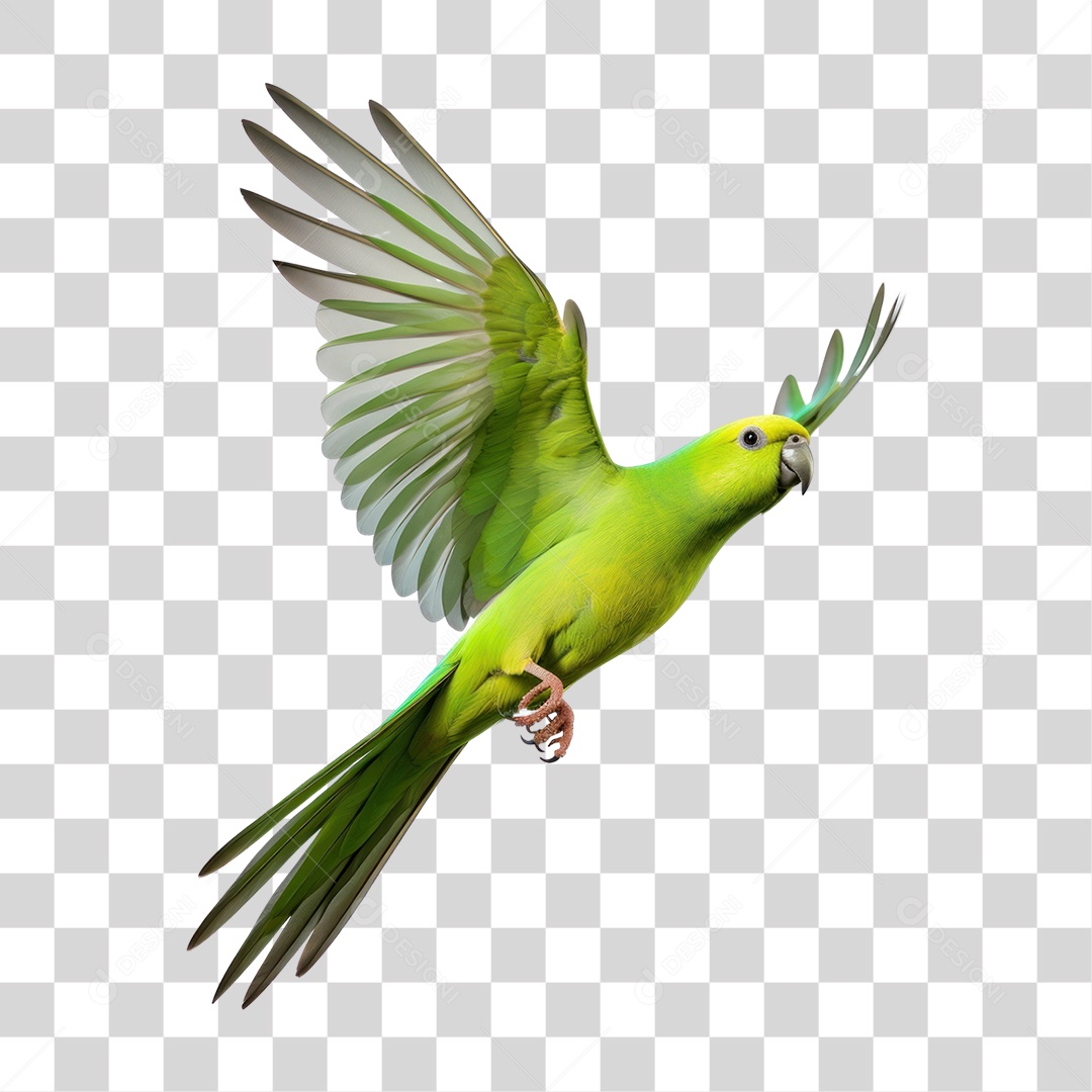 Periquito Verde Voando Fundo PNG Transparente