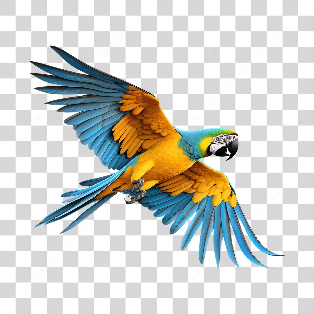 Arara Canindé Arara de Barriga Amarela Voando Fundo PNG Transparente