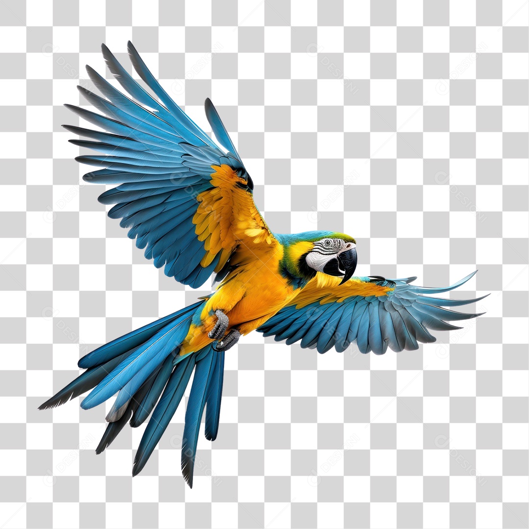 Arara Canindé Arara de Barriga Amarela Voando Fundo PNG Transparente