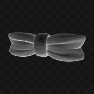 Gravata Borboleta - Modelo 3D