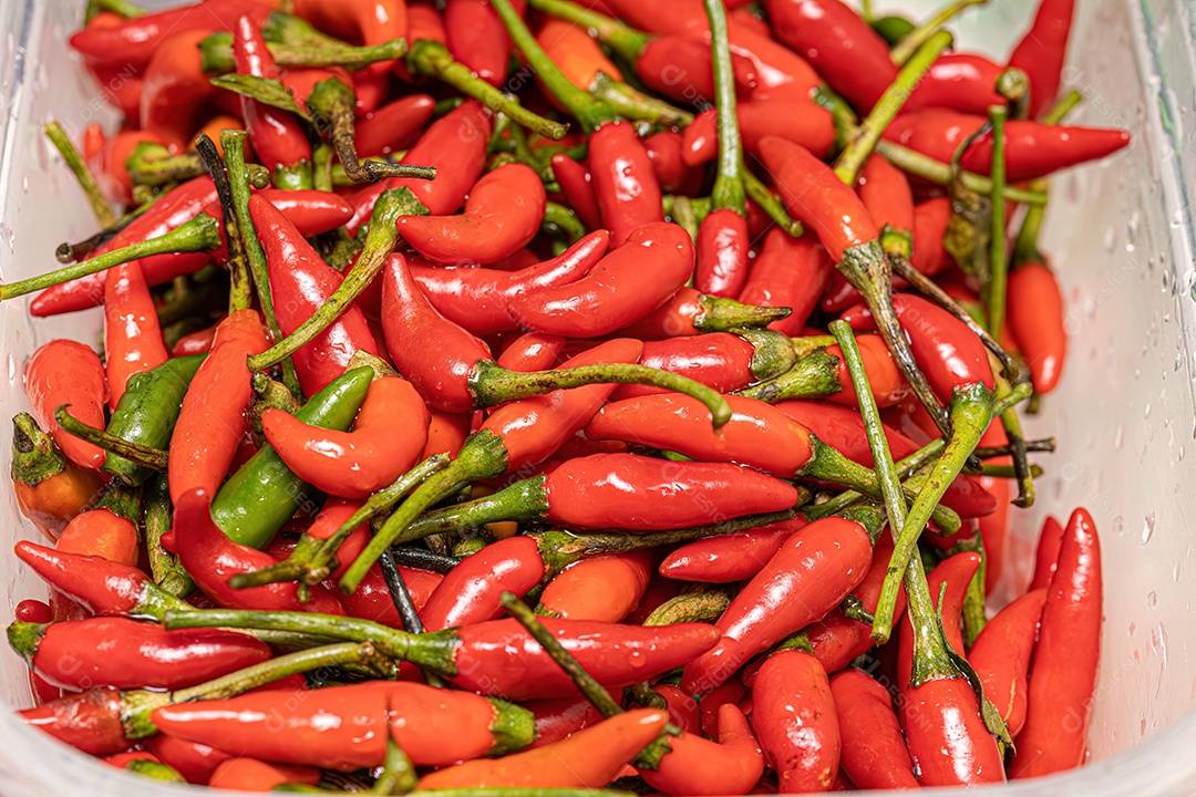 Conjunto de bagas de pimenta coletadas com foco seletivo