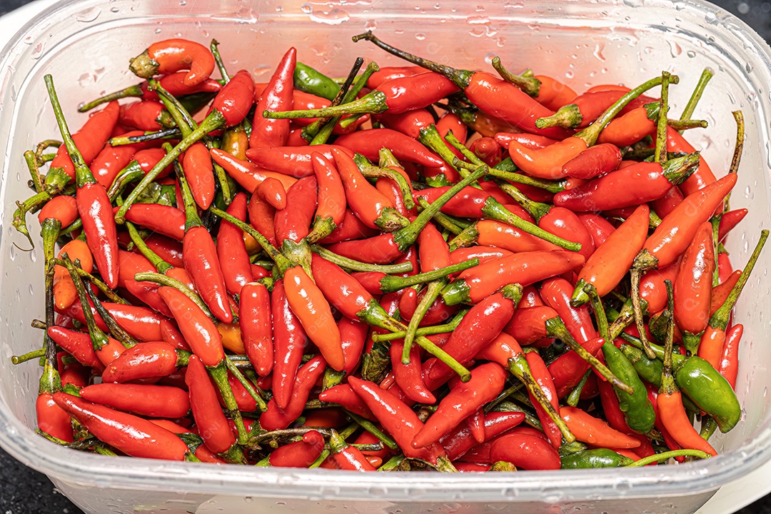 Conjunto de bagas de pimenta coletadas com foco seletivo