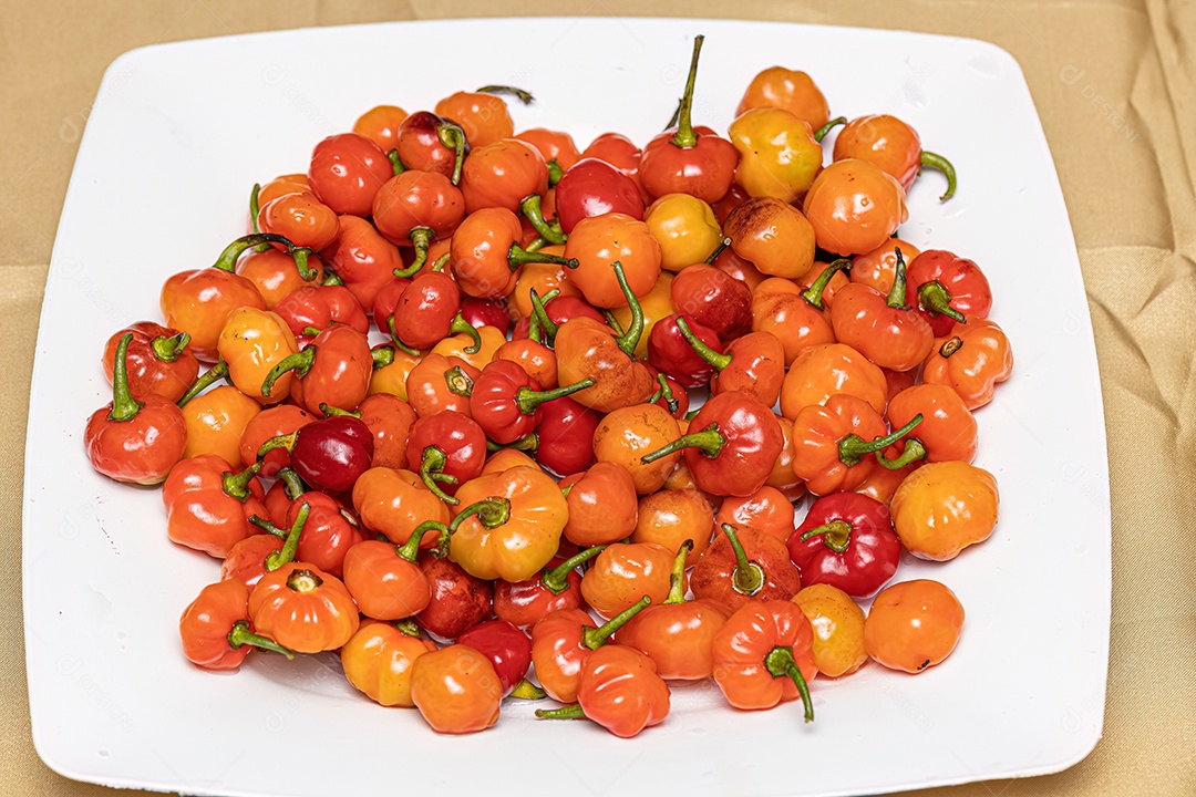 Conjunto de bagas de pimenta coletadas com foco seletivo