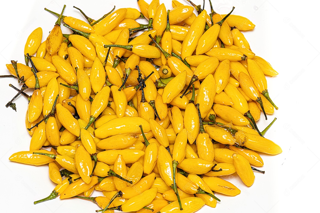 Conjunto de bagas de pimenta coletadas com foco seletivo