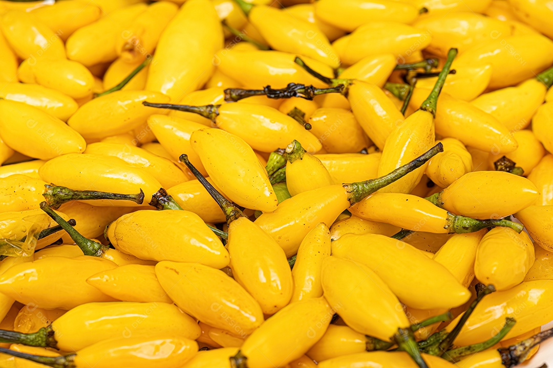 Conjunto de bagas de pimenta coletadas com foco seletivo