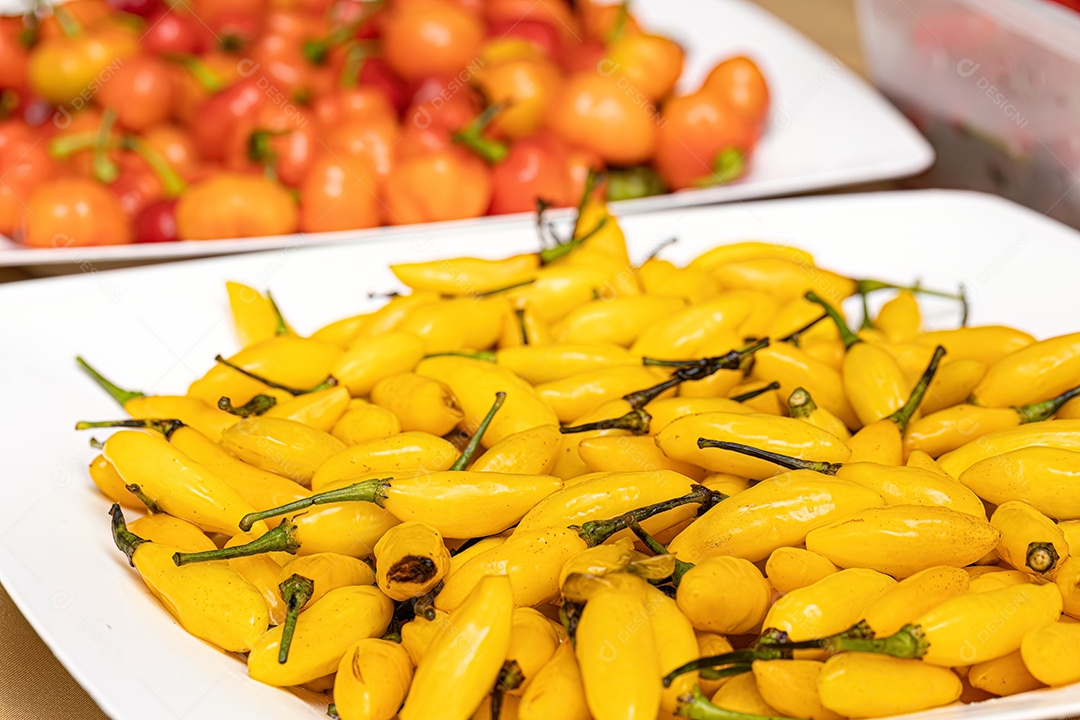 Conjunto de bagas de pimenta coletadas com foco seletivo