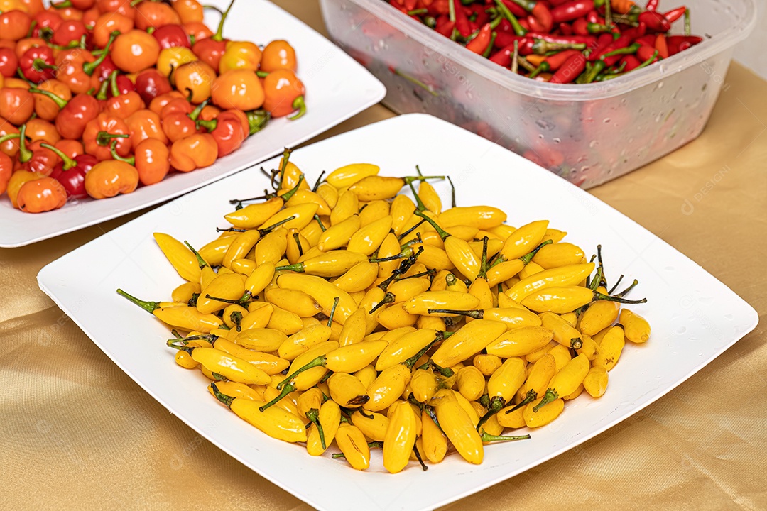 Conjunto de bagas de pimenta coletadas com foco seletivo