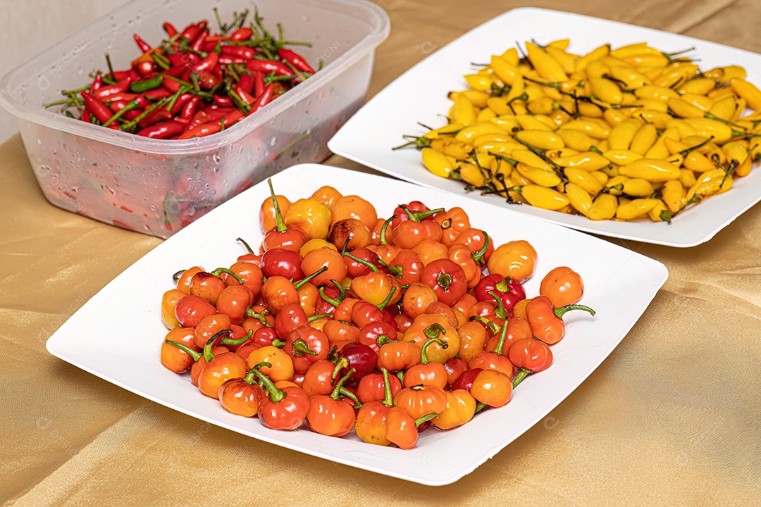 Conjunto de bagas de pimenta coletadas com foco seletivo